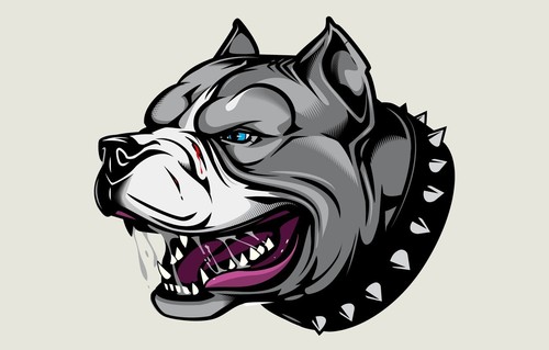 Cane pitbull amstaff - pitbull,