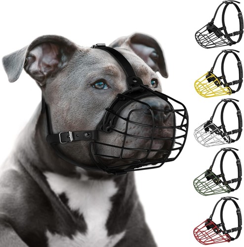 Pitbull museruola per cani - pitbull,