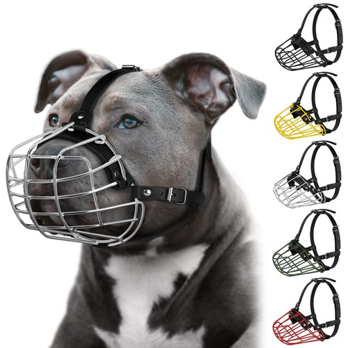 Pitbull museruola per cani - per,