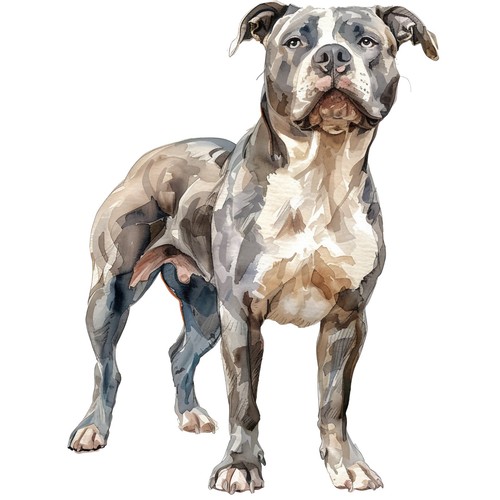 Adesivi pitbull auto - adesivi,