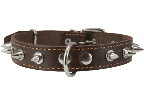 Collare cane vera pelle - , punte