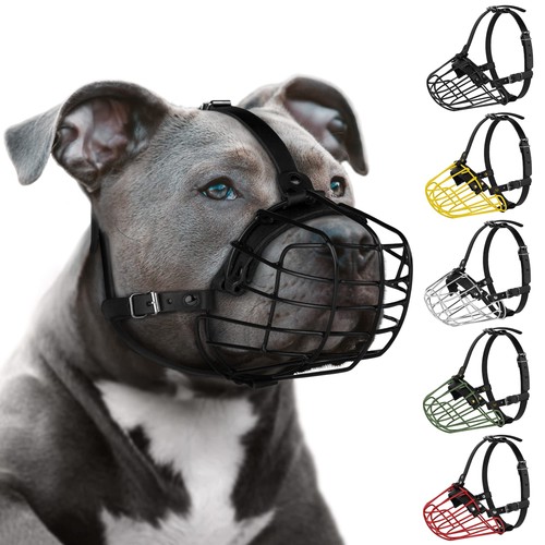 Pitbull museruola per - pitbull,