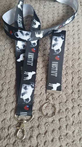 Amstaff set cordino - , nastro