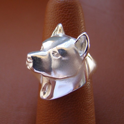 Anello studio testa amstaff - anello,