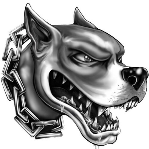 Attenti cane pitbull - attenti,