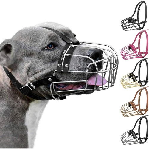 Bronzedog pitbull museruola - pitbull,