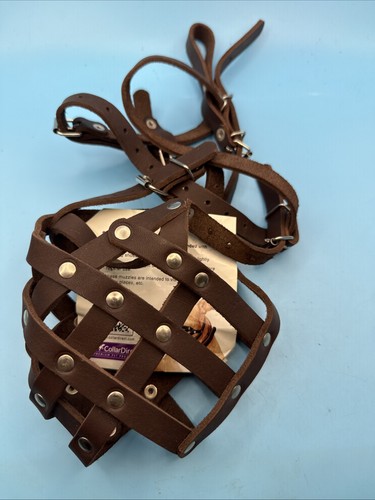 Collardirect pitbull museruola - pitbull,