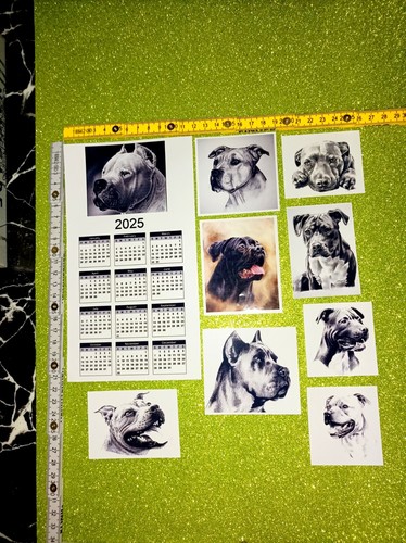 Lotto pcs adesivi stickers - 9,