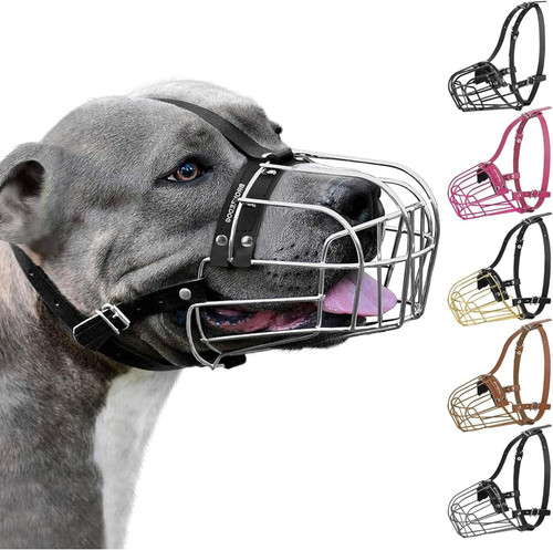 Pitbull cestino filo - pitbull,