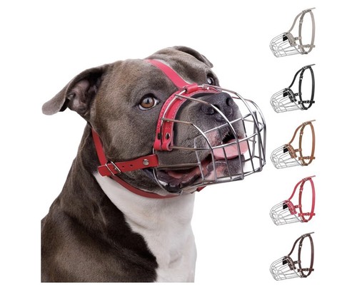 Pitbull museruola per cani - museruola,