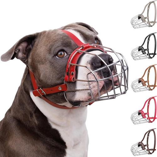 Pitbull museruola per - pitbull,