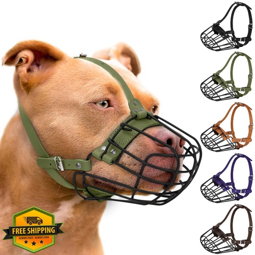 Budkas pitbull museruola per - pitbull,