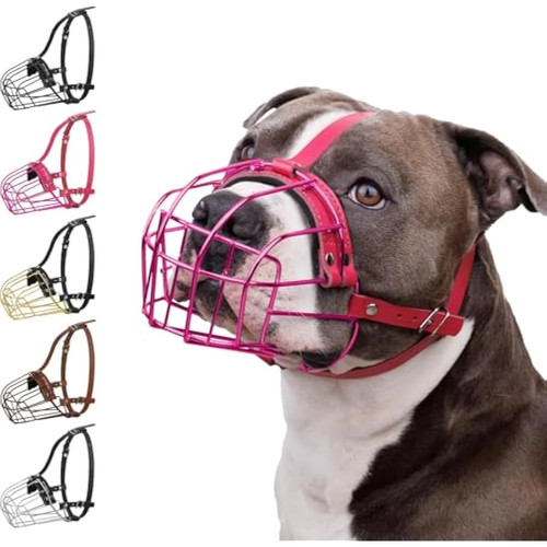 Bronzedog pitbull dog - bronzedog,