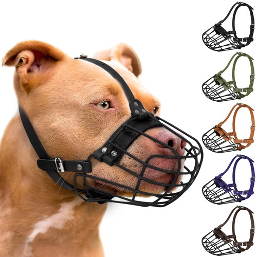 Museruola per cani - , grande