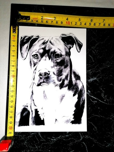 Quadro locandina poster - quadro,