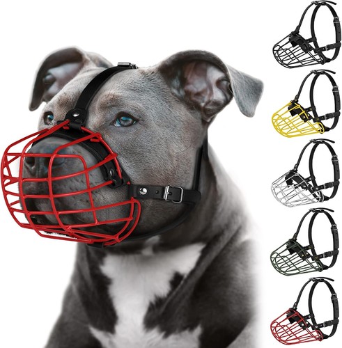 Pitbull museruola per cani - per,