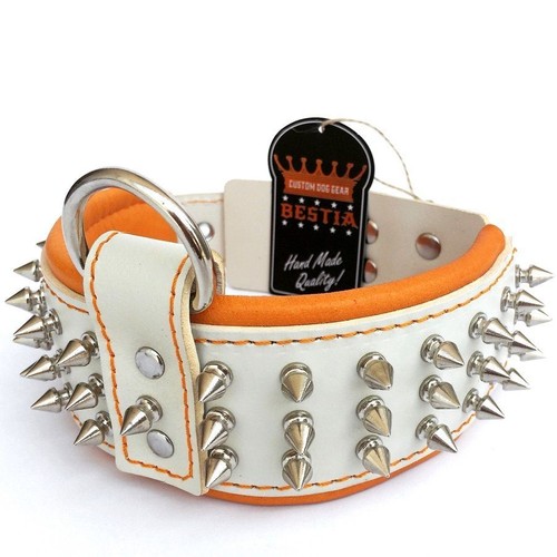Collare per cani vera - collare,