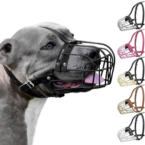 Pitbull museruola per cani - pitbull,