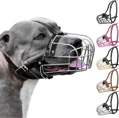 Bronzedog pitbull museruola - bronzedog,